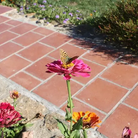 아파트 El Jardin Del Poeta