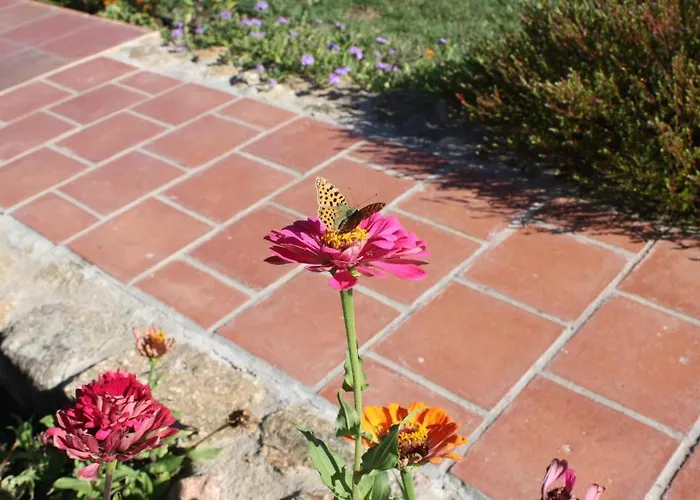 Lejlighed El Jardin Del Poeta